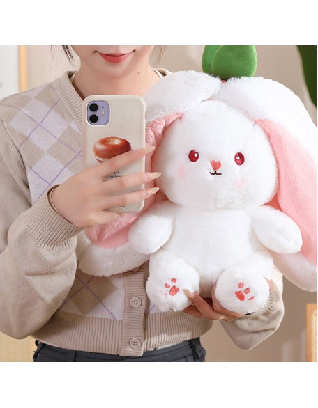 Rabbit Muppet Toys