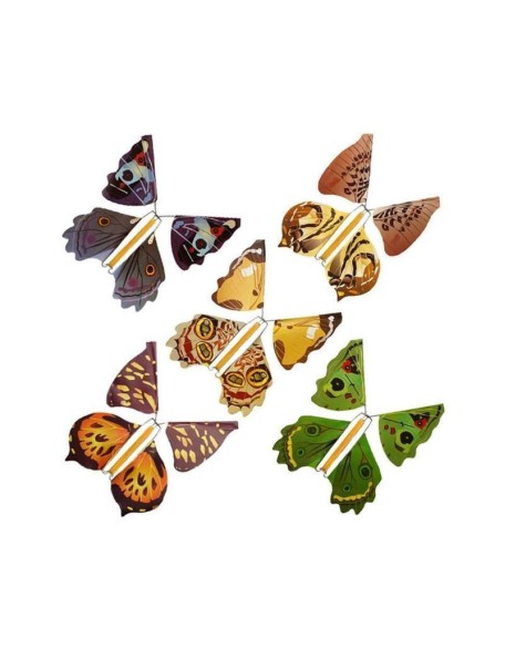 The Magic Flying Butterfly